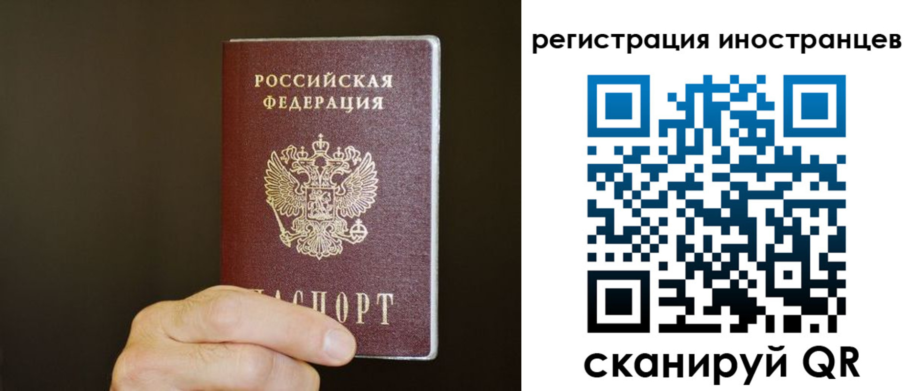 прописка в Кондрово
